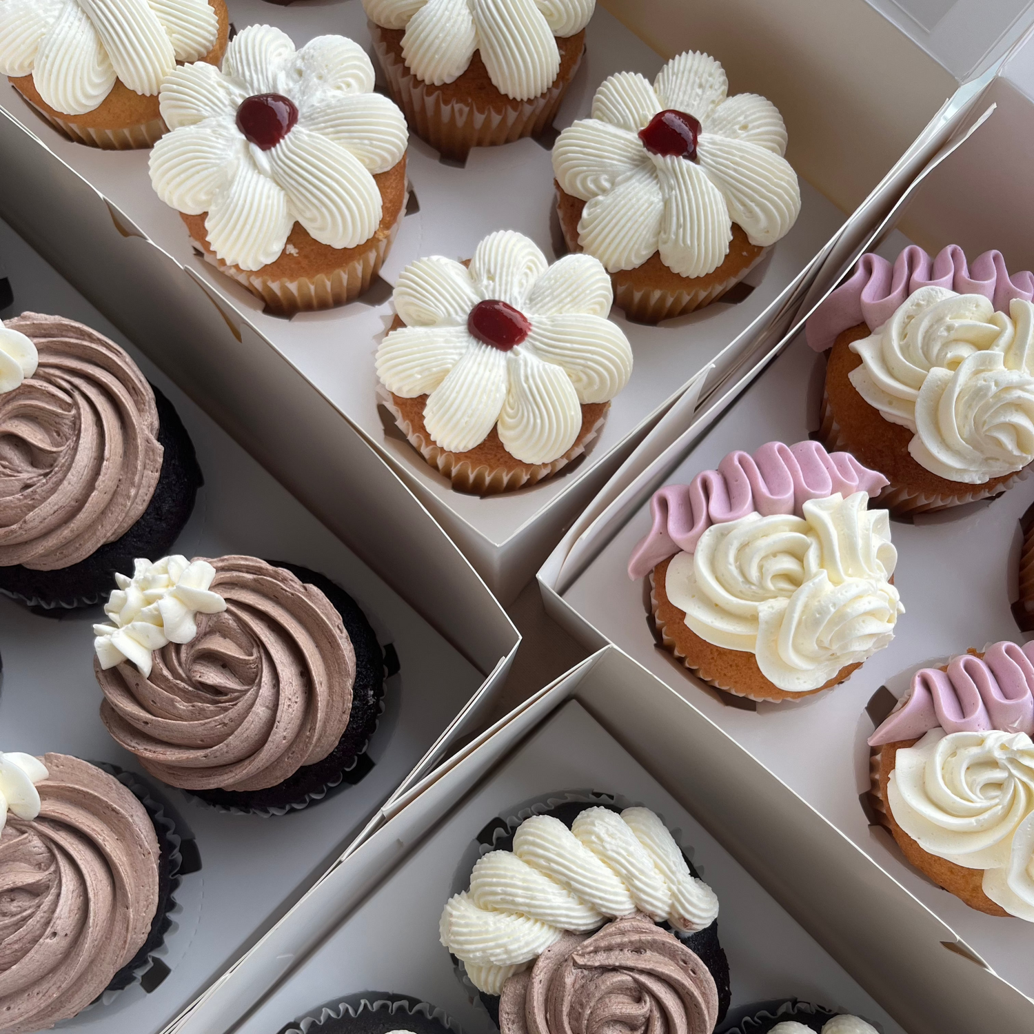 cupcakes
